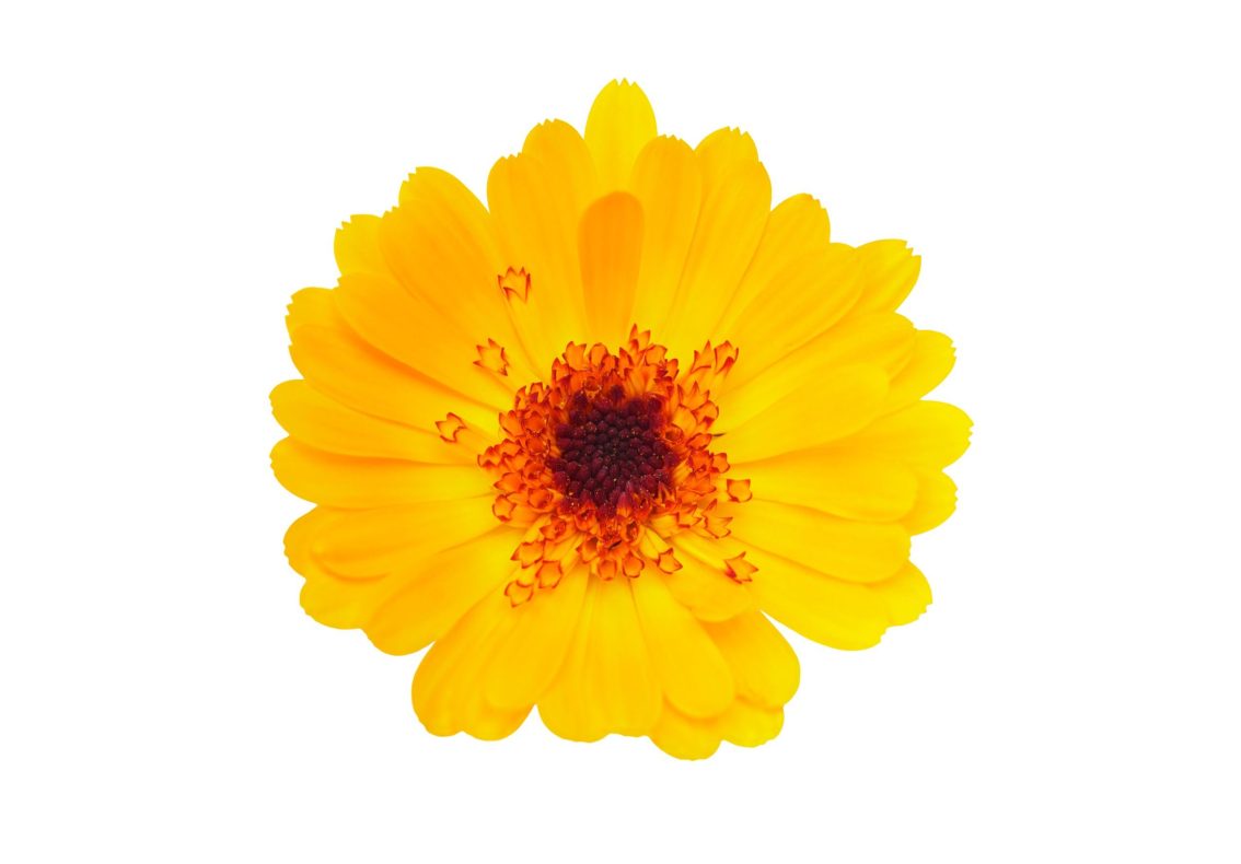 Nail salon in Coral Gables, FL – Nails by YC